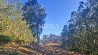 Land for sale in Oliveira de Azeméis, Portugal — €96,000