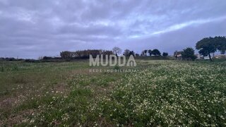 Land for sale in Estarreja, Portugal — €50,000