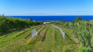 Land for sale in Horta, Portugal — €295,000