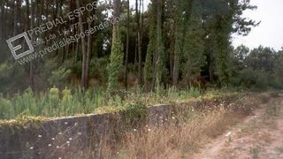 Terreno de 6100 m² em Viana do Castelo