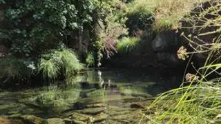 Terreno em Góis