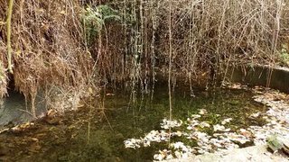 Land for sale in Arganil, Portugal — €28,000