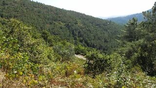 Land for sale in Góis, Portugal — €15,000