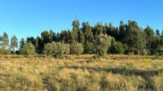 Land for sale in Oliveira do Hospital, Portugal — €25,000
