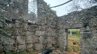 Land for sale in Tábua, Portugal — €32,000
