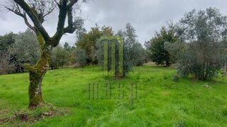 Land for sale in Oliveira do Hospital, Portugal — €22,500