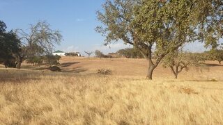 Land for sale in Serpa, Portugal — €207,000
