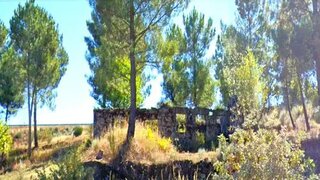 Land for sale in Trancoso, Portugal — €249,000
