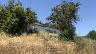 Terreno em Santarém · 49 240 m² · 250 000 €
