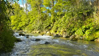 Land for sale in Povoação, Portugal — €1,500,000