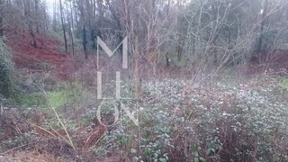 Land for sale in Amarante, Portugal