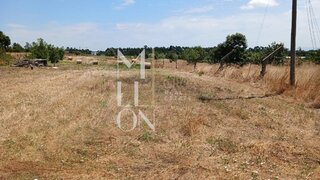 Land for sale in Vagos, Portugal — €45,000