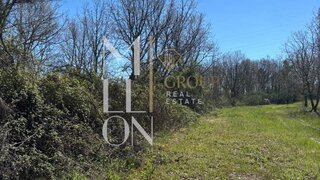 Terreno de 30 000 m² em Guarda