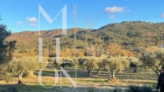 Land for sale in Celorico da Beira, Portugal — €87,500