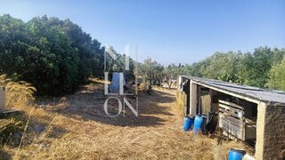 Land for sale in Cascais, Portugal — €550,000