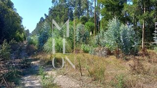 Land for sale in Vagos, Portugal — €27,000