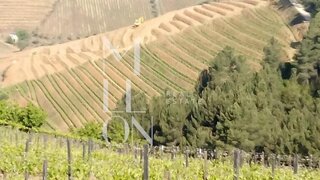 Land for sale in Alijó, Portugal — €180,000