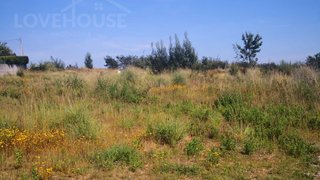 Land for sale in Águeda, Portugal — €230,000