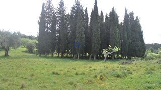 Land for sale in Torres Novas, Portugal — €114,000