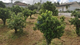 Land for sale in Torres Novas, Portugal — €40,000