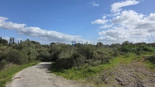 Land for sale in Torres Novas, Portugal — €70,000
