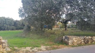 Land for sale in Ourém, Portugal — €130,000