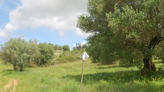 Land for sale in Torres Novas, Portugal — €25,000