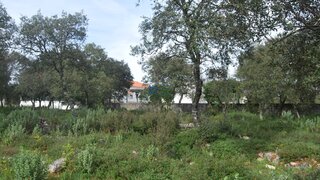 Land for sale in Ourém, Portugal — €130,000