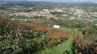 Land for sale in Loures, Portugal — €35,000