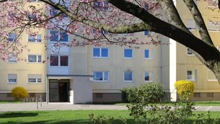 casafari-bild