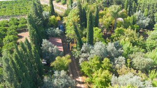 Land for sale in Silves, Portugal — €425,000