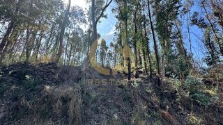 Land for sale in Marco de Canaveses, Portugal — €50,000