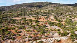 Terreno de 48 040 m² em Faro