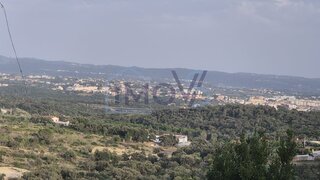 Land for sale in Tomar, Portugal — €45,000