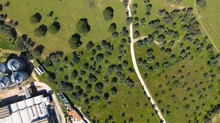 Land for sale in Alcácer do Sal, Portugal — €299,000
