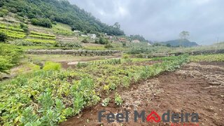 Land for sale in São Vicente, Portugal — €130,000