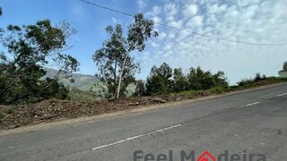 Terreno em Ribeira Brava