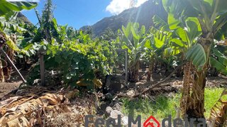 Land for sale in Ribeira Brava, Portugal — €150,000