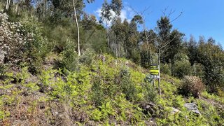 Land for sale in Ponte de Lima, Portugal — €32,500