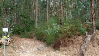 Land for sale in Ponte de Lima, Portugal — €110,000