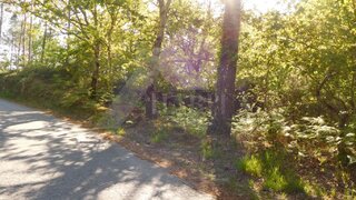Land for sale in Paredes de Coura, Portugal — €30,000