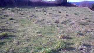 Land for sale in Paredes de Coura, Portugal — €55,000