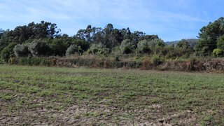 Land for sale in Ponte de Lima, Portugal — €80,000