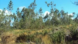 Land for sale in Paredes de Coura, Portugal — €40,000