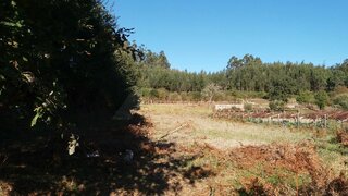 Land for sale in Paredes de Coura, Portugal — €35,000