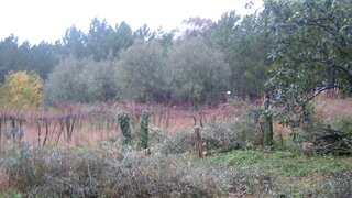 Land for sale in Ponte de Lima, Portugal — €130,000