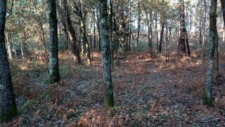 Land for sale in Ponte de Lima, Portugal — €23,500