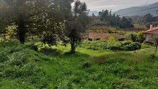Land for sale in Ponte de Lima, Portugal — €100,000