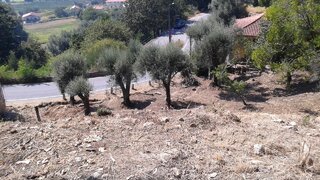 Land for sale in Ponte de Lima, Portugal — €67,500
