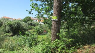 Land for sale in Ponte de Lima, Portugal — €14,000